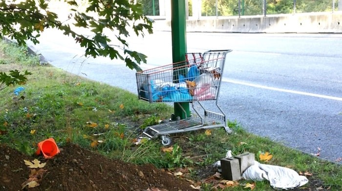  This buggy was left in a high-traffic area. (Photograph contributed)