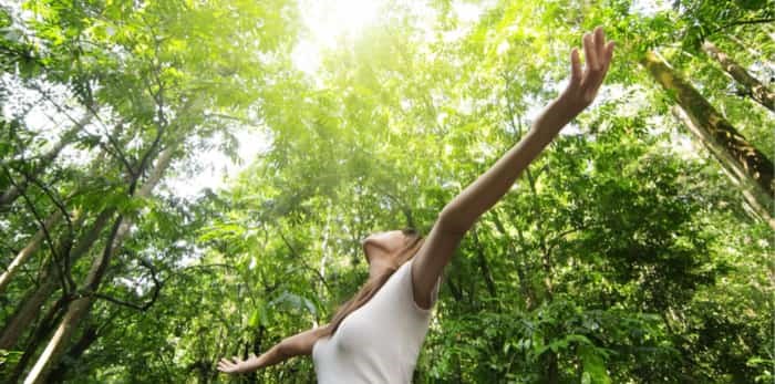  Photo: woman in the forest / Shutterstock