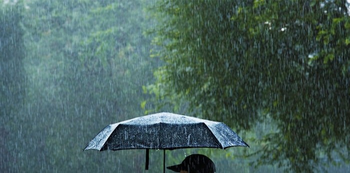  Umbrella in the rain/Shutterstock