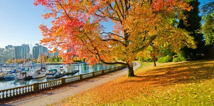  Photo: Fall foliage Vancouver / Shutterstock 