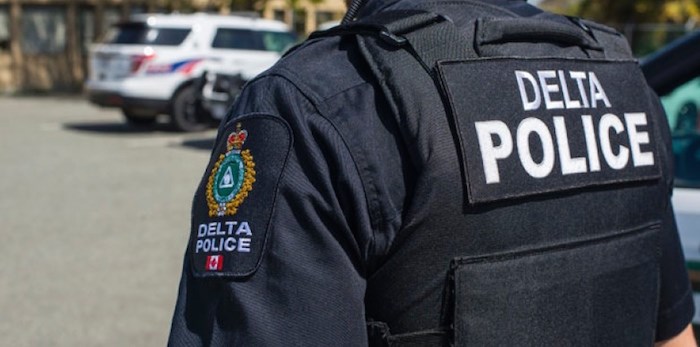 Delta Police (Delta Optimist file photo)