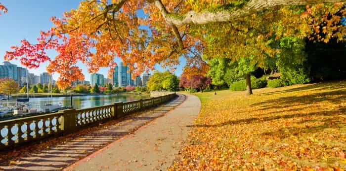  Photo: fall in Vancouver / Shutterstock