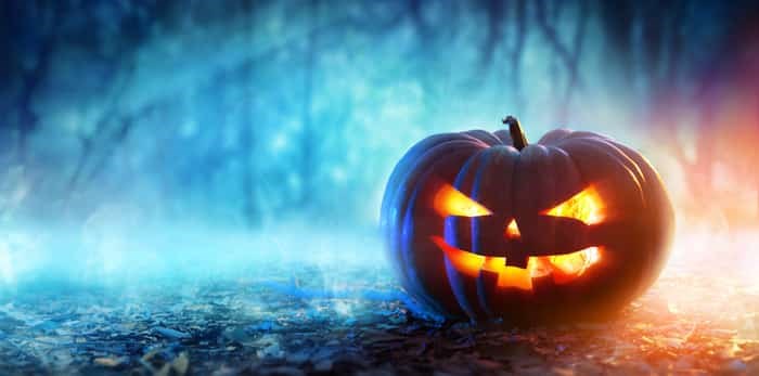  Photo: Haunted forest jack o'lantern / Shutterstock