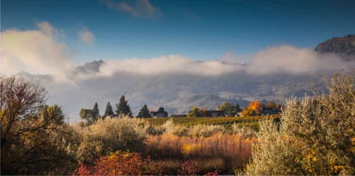  Photo: fall in Osoyoos / Shutterstock