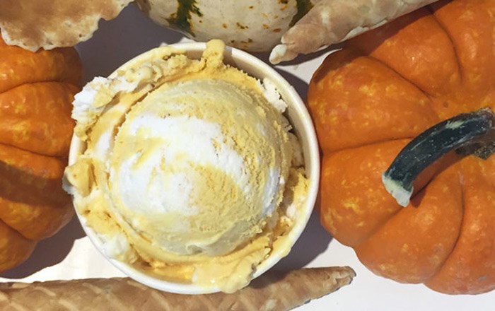 Amato Gelato Cafe