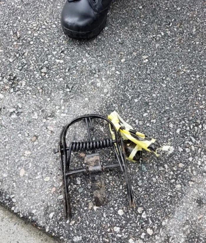  This animal trap was found live by a couple of Steveston residents on Monday. Photo courtesy JJ Mac