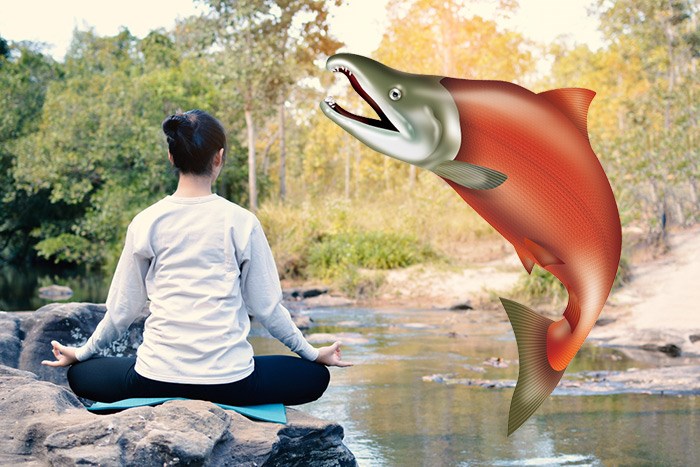  Salmon yoga is a thing now. Photo Shutterstock