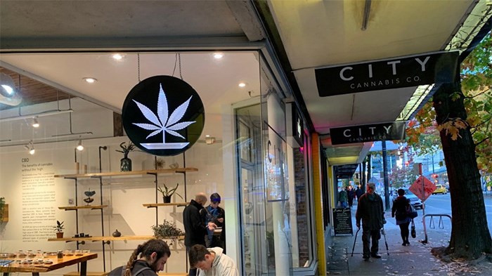  City Cannabis Co. on Robson Street is one of many dispensaries that are breaching federal laws by operating in the City of Vancouver before legalization takes effect on October 17 | Glen Korstrom
