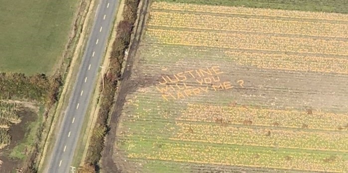  At Gobind Farms in Saanichton, pumpkin after pumpkin was rolled into place to spell out Jesse's message. Photo by Shawna Walker