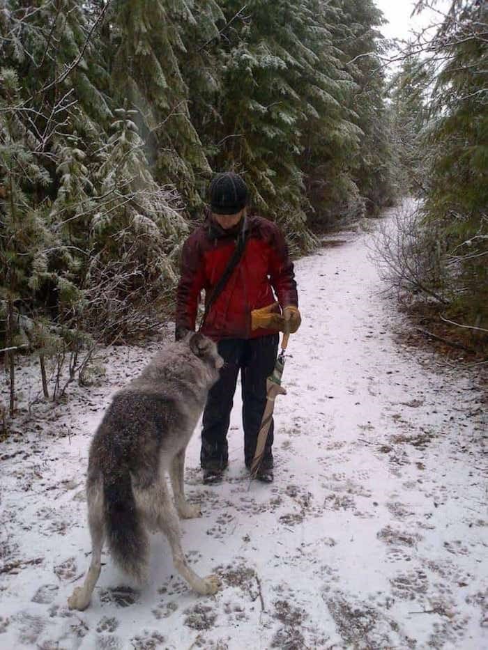  Photo: Northern Lights Wildlife Wolf Centre / 