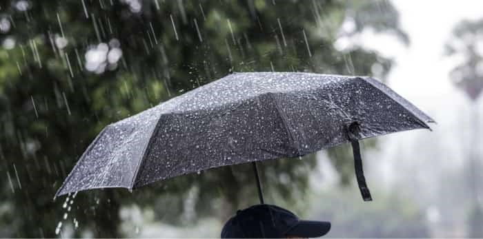  Umbrella in rain / Shutterstock