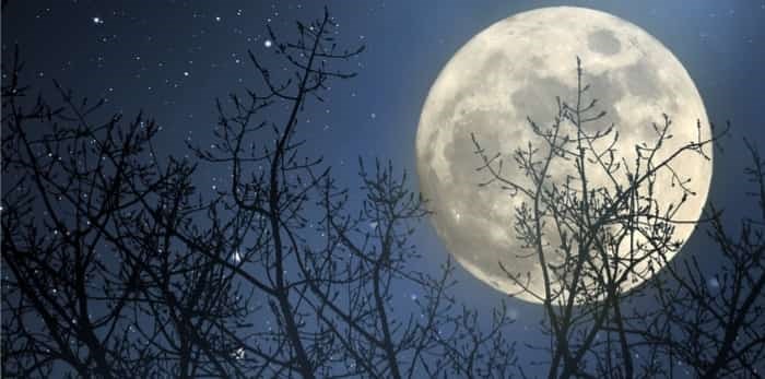  Photo: full moon / shutterstock