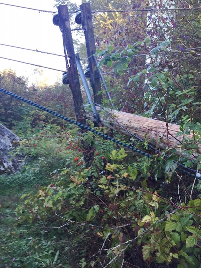  Vandals chopped down two power poles and damaged a third in an early-morning damage spree on Tuesday. Police and BC Hydro are investigating. Photograph By BC HYDRO