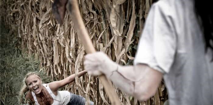  Photo: woman in scary corn maze / shutterstock