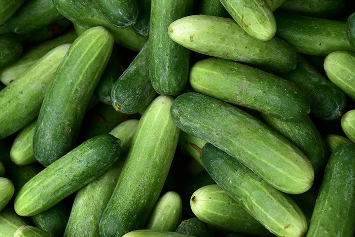  Cucumbers. Photo Shutterstock