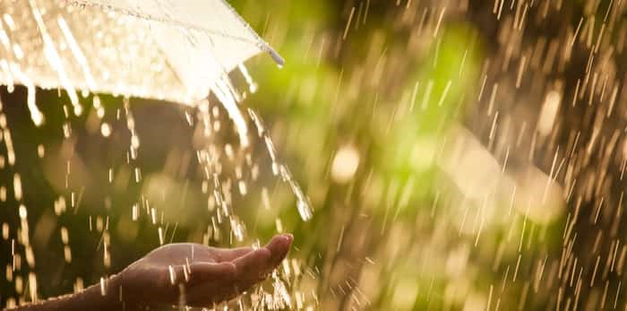  Photo: Woman hand with umbrella in the rain in green nature background / shutterstock