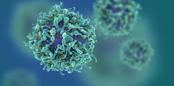 Photo: 3d illustration of T cells or cancer cells / Shutterstock