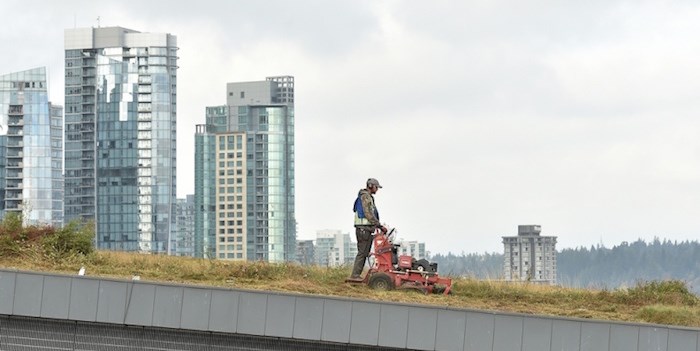  Landscaping crews started the annual mowing of the green roof at Vancouver Convention Centre this week. It takes about two weeks to trim and mow the six-acres living roof. Photo Dan Toulgoet
