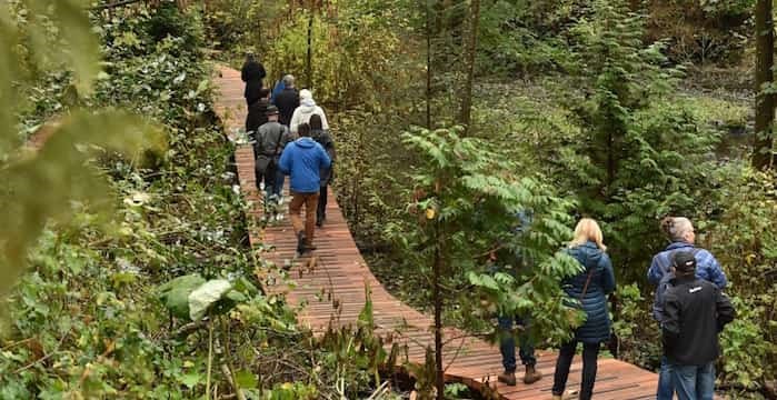  Renovations making Renfrew Ravine Park more accessible to the public include a staircase and an elevated board walk. Photo Dan Toulgoet