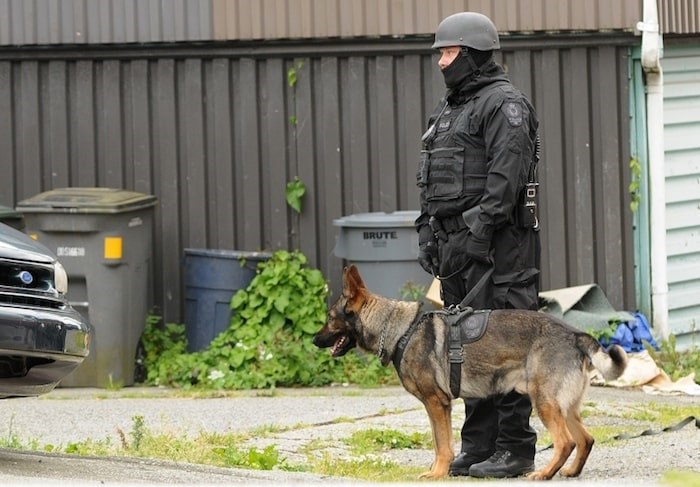  Vancouver police are reviewing how one their police dogs mistakenly bit a 75-year-old man in the parking lot of the former Fraser Arms hotel. Photo Dan Toulgoet