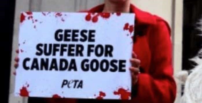  PETA are protesting the opening of a new Canada Goose store in Vancouver.