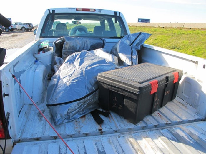  A killer whale calf that just died off the coast of Nootka Island was being transported by Paul Cottrell, Marine Mammal coordinator for Fisheries and Oceans Canada for a necropsy in Abbotsford when news of the humpback whale sighting broke. - photo by Ian Jacques