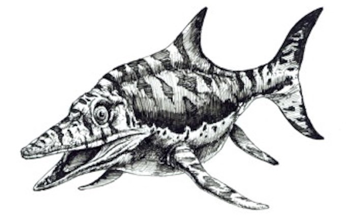  Is your favourite fossil the Icythyosaur? (Image via SurveyMonkey)