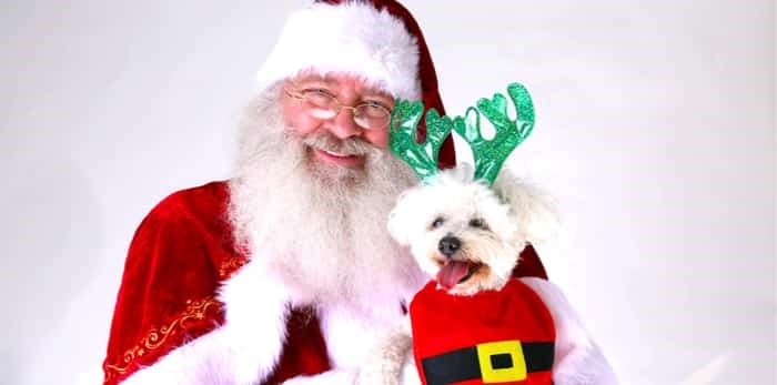  Santa Claus smiles as he holds a dog / Shutterstock