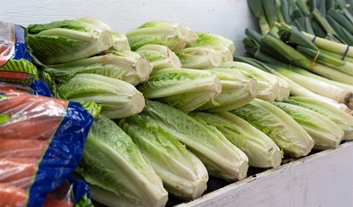  Romaine lettuce is seen at market in Montreal on Thursday, November 22, 2018. Restaurants and grocery stores in Canada have not officially been told to pull their stocks of romaine lettuce, but an ongoing outbreak of E.coli is prompting many to do just that. THE CANADIAN PRESS/Paul Chiasso