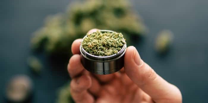  in hand a grinder to grind marijuana weed / Shutterstock