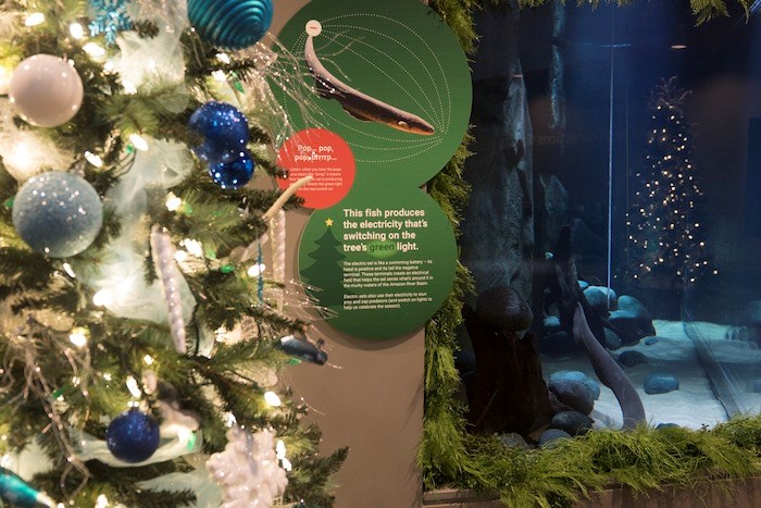  Photo courtesy Vancouver Aquarium