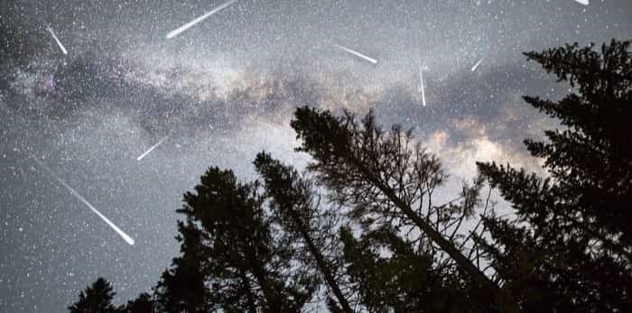  A view of a Meteor Shower and the Milky Way with a pine tree forest silhouette in the foreground / Shutterstock