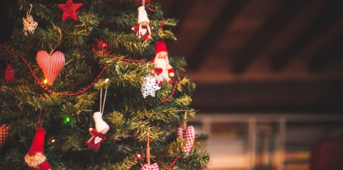  Looking for the perfect real Christmas tree? Here are some tips from a tree lot insider. Photo: Christmas tree/Shutterstock