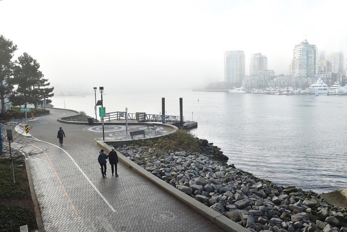  Fog blankets Vancouver Jan. 14, 2019 Photo by Dan Toulgoet