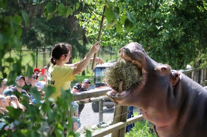  Greater Vancouver Zoo / 