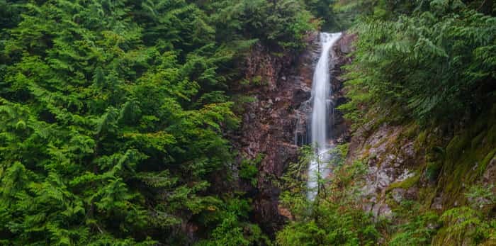  Norvan Falls is a popular day hike in North Vancouver's Lynn Headwaters Regional Park / Shutterstock
