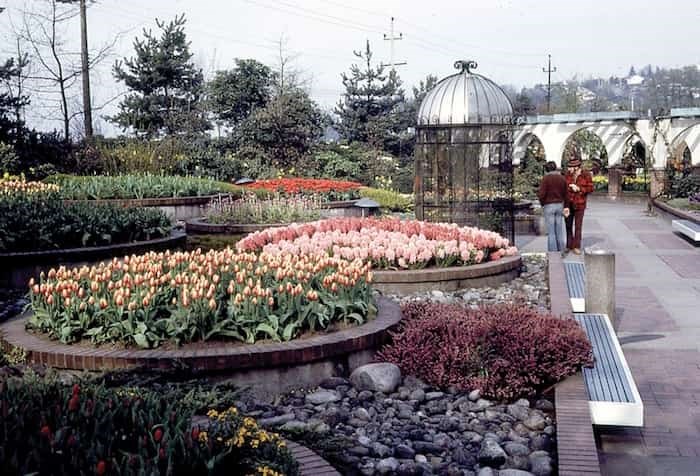  Passersby stroll through the recently opened Park & Tilford Gardens circa late-1960s/early '70s - photo supplied