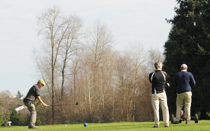  Up to 50 juvenile trees — sequoia, West Coast cedar, Douglas fir, Fraser fir and alder — at Langara Golf Course were damaged over the last four weeks. Photo Dan Toulgoet