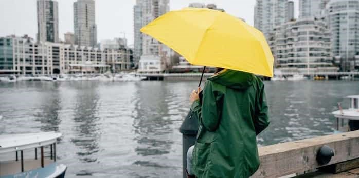 Buy shop umbrella vancouver