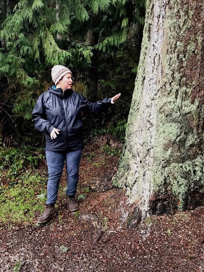  Talaysay Tours co-owner Candice Campo points to the type of tree sap that helped some of her friends and relatives survive residential school. Photo Sandra Thomas