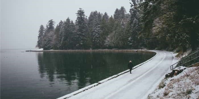  Stanley Park in Vancouver with snow / shutterstock