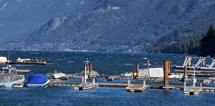  Damage from the windstorm at Horseshoe Bay.