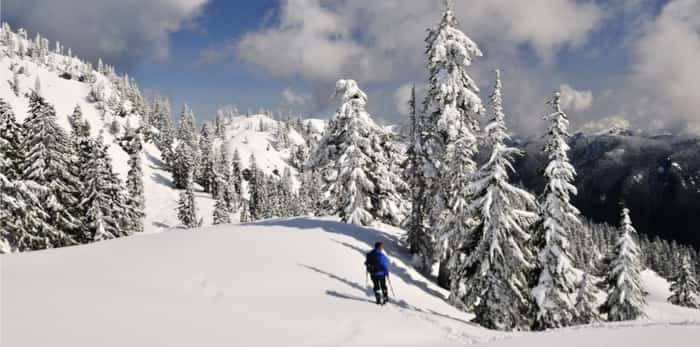  Snow covered mount Seymour park, north Vancouver / Shutterstock