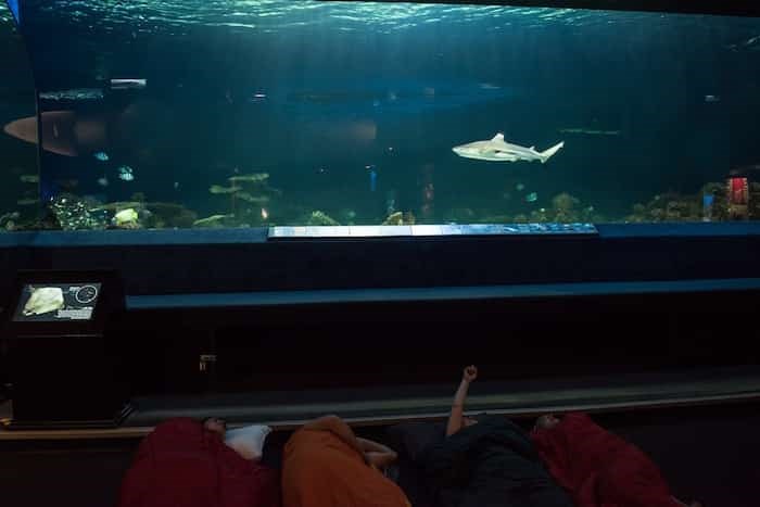  Vancouver Aquarium