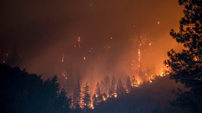  B.C.’s chances of experiencing wildfires and electricity infrastructure damages are lower than California's, says BC Hydro. Photo: Matt Howard/Unsplash