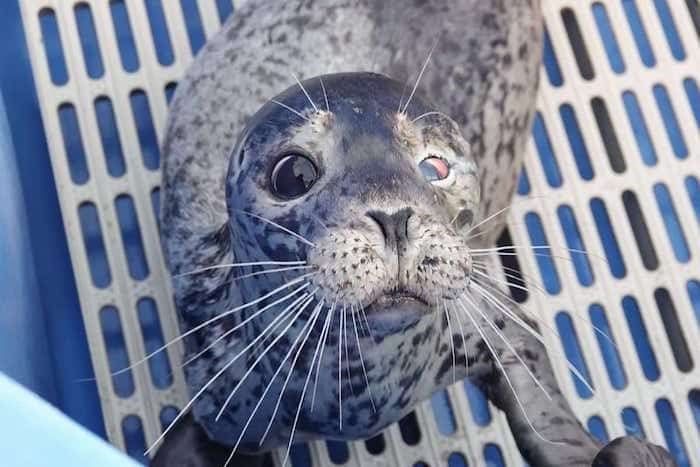  @vanaqua / 