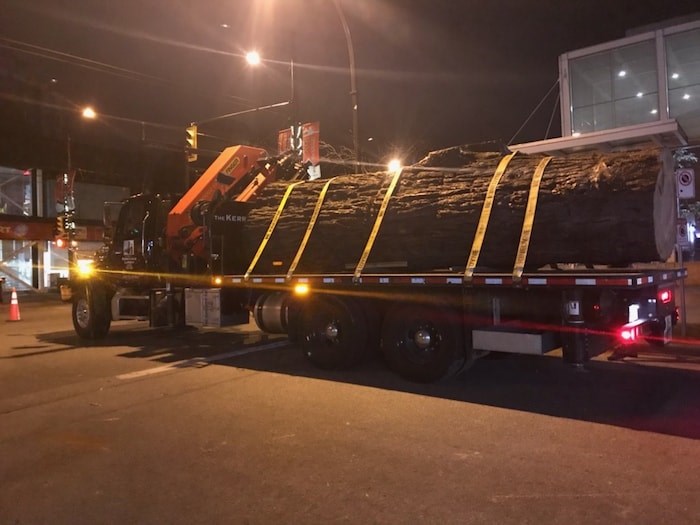  The trunk of a massive sequoia tree removed from West 41st Avenue in Kerrisdale March 3. Photo courtesy TPMG Capital