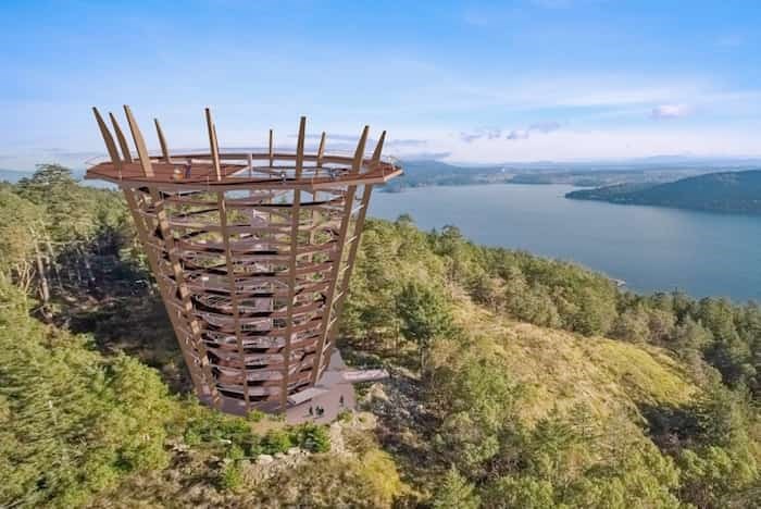  Artist's rendering of the proposed Malahat Skywalk lookout tower.