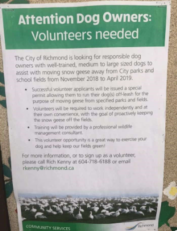  Local birder Kate Paton took a picture of this poster she says was displayed in Richmond Nature Park. Photo: Kate Paton