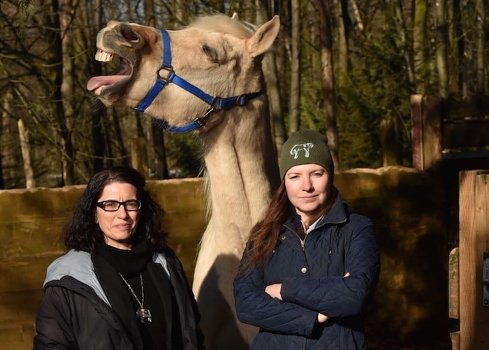  Vancouver lawyers Victoria Shroff (left) and Amber Prince will teach Animal Law at UBC’s Allard School of Law in September. Photo by Dan Toulgoet.